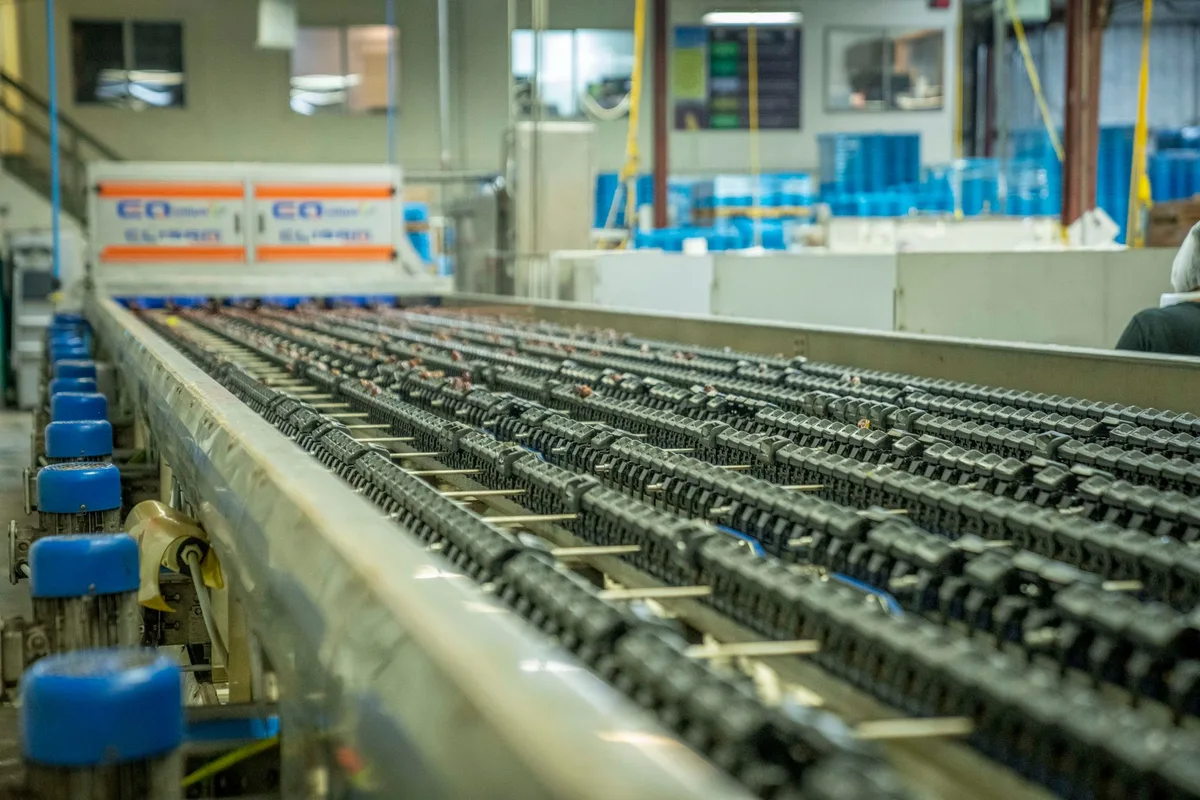 panduan duralink belt duralink belt installation conveyor