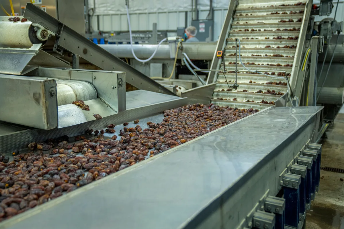 pekerjaan teknologi pangan food processing conveyor belt system